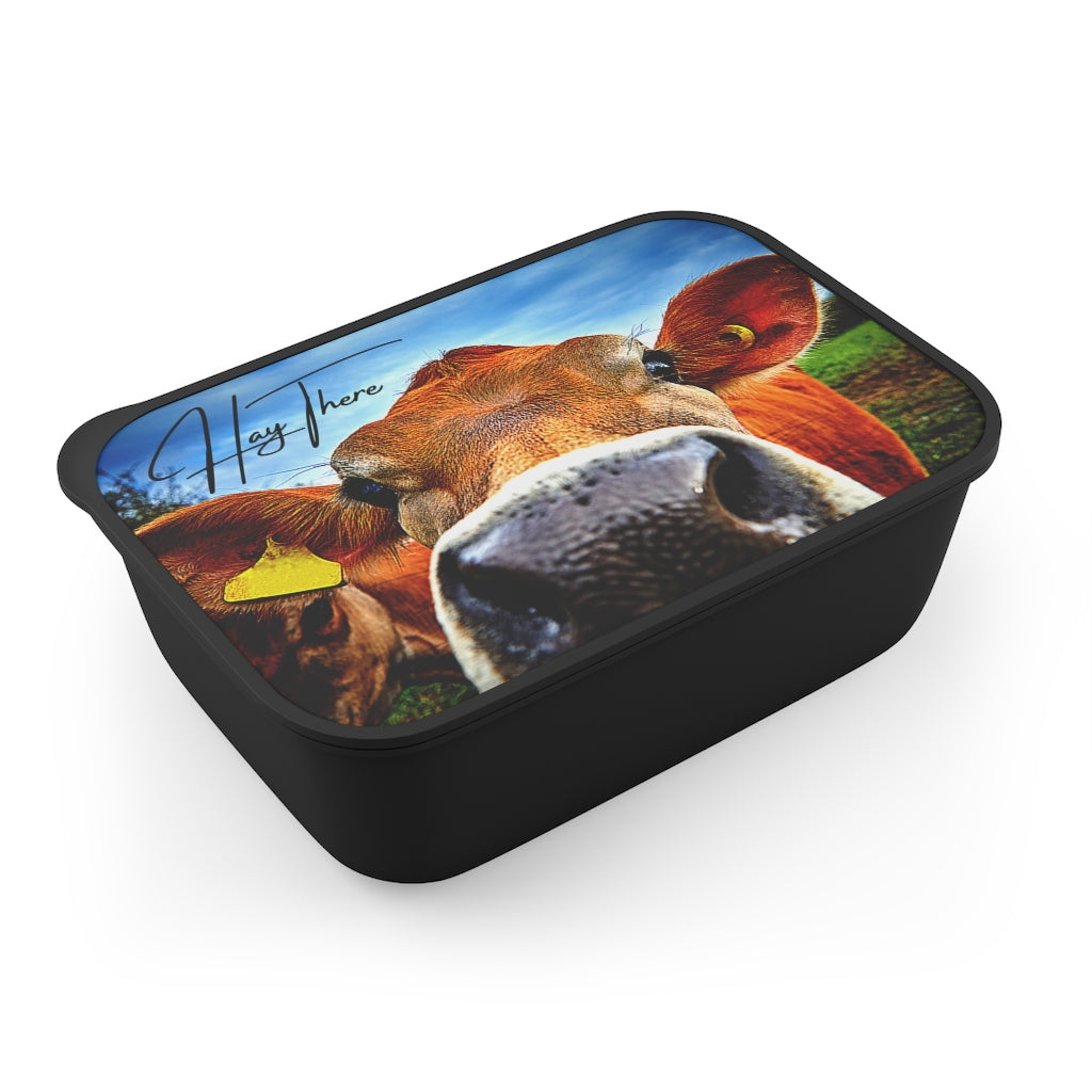 Hay There Deluxe Bento Lunch Box and Utensils – Rangepoint Customs